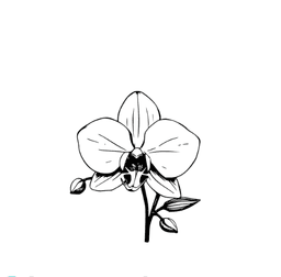 shreedev.art logo
